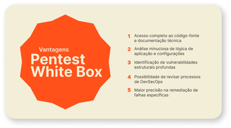 Vantagens Pentest White Box